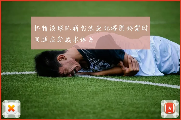 怀特谈球队新打法变化塔图姆需时间适应新战术体系