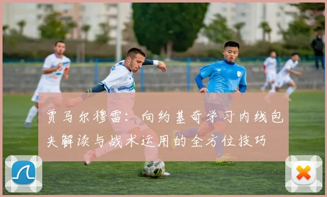 贾马尔穆雷：向约基奇学习内线包夹解读与战术运用的全方位技巧
