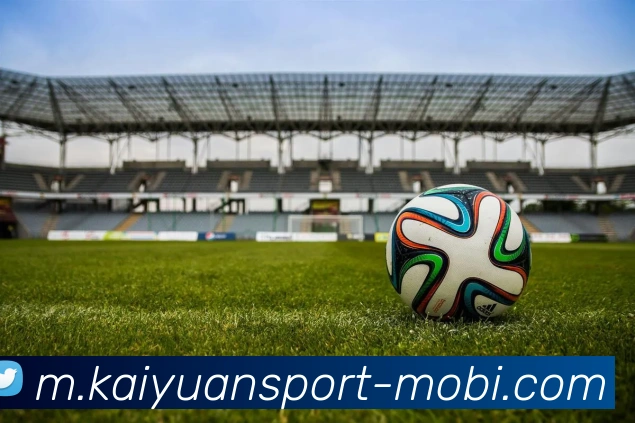 开元体育平台生态图